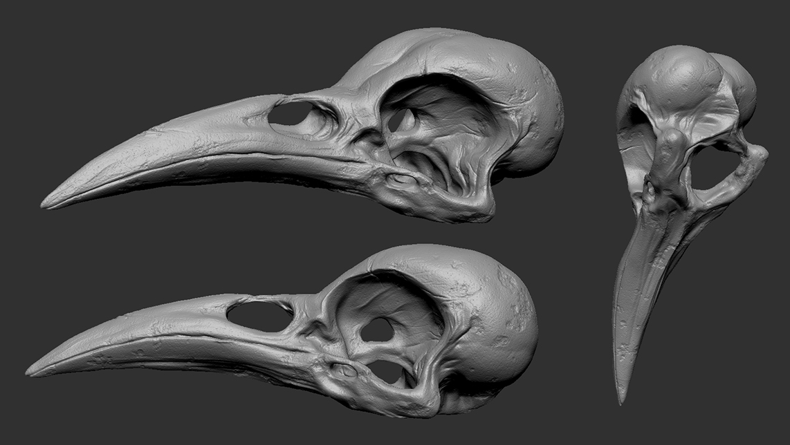 Skull-Zbrush.jpg