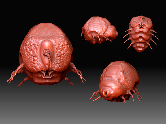 bugfat.jpg