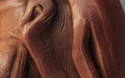 thumb.jpg