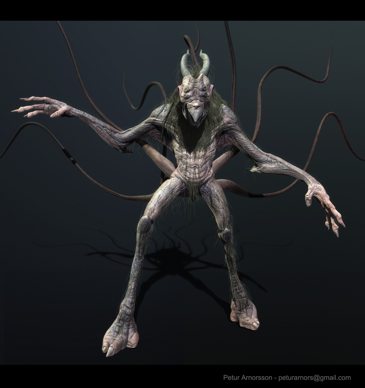 dacodea2.jpg