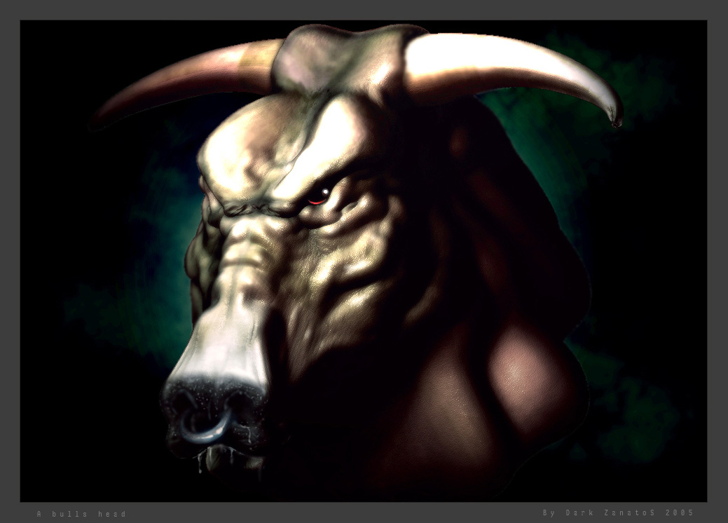 A bulls head.jpg