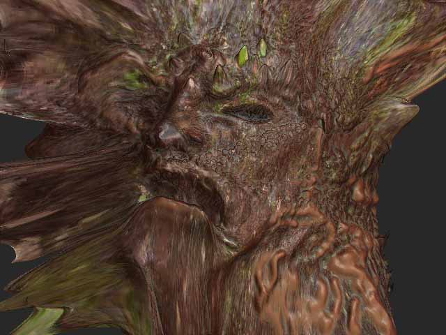 forest.jpg