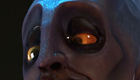 thumb.jpg