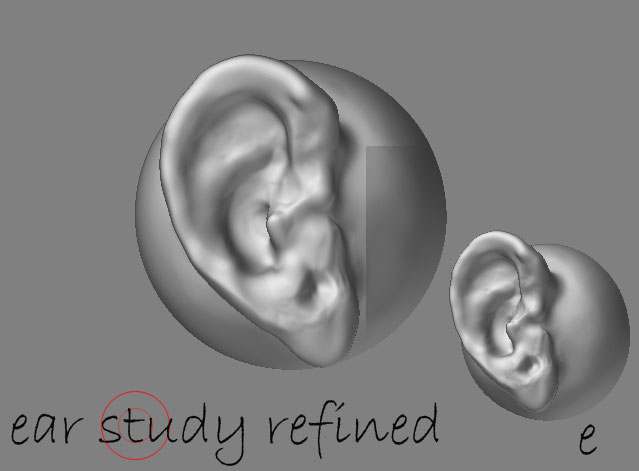 ear2.jpg