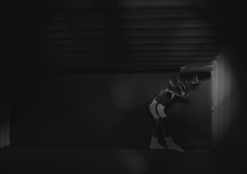 BOXER GYM 5 E.jpg