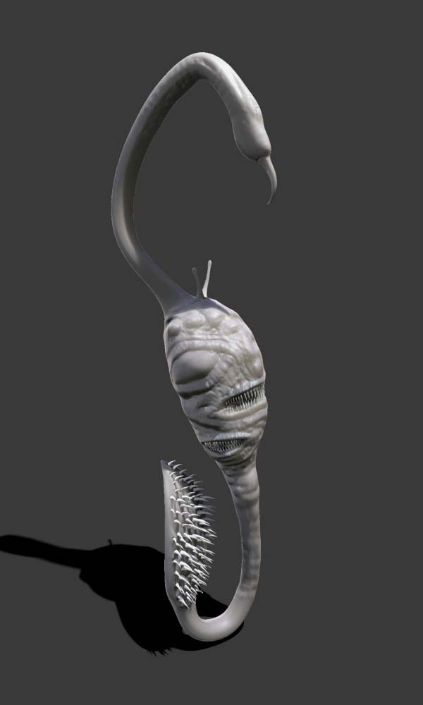 sw01.jpg