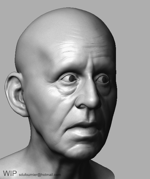 vieillard_wip13.jpg