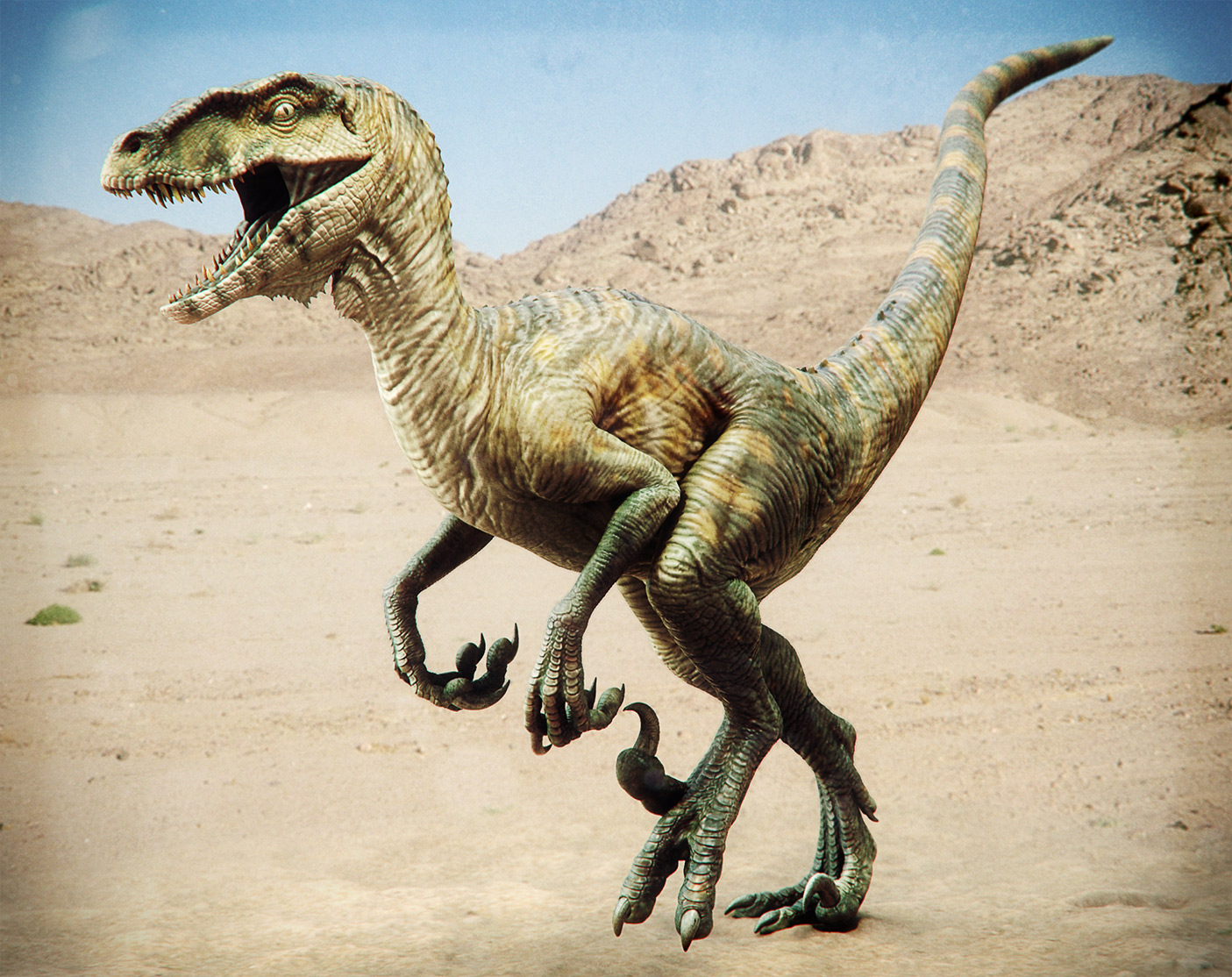 raptor.jpg