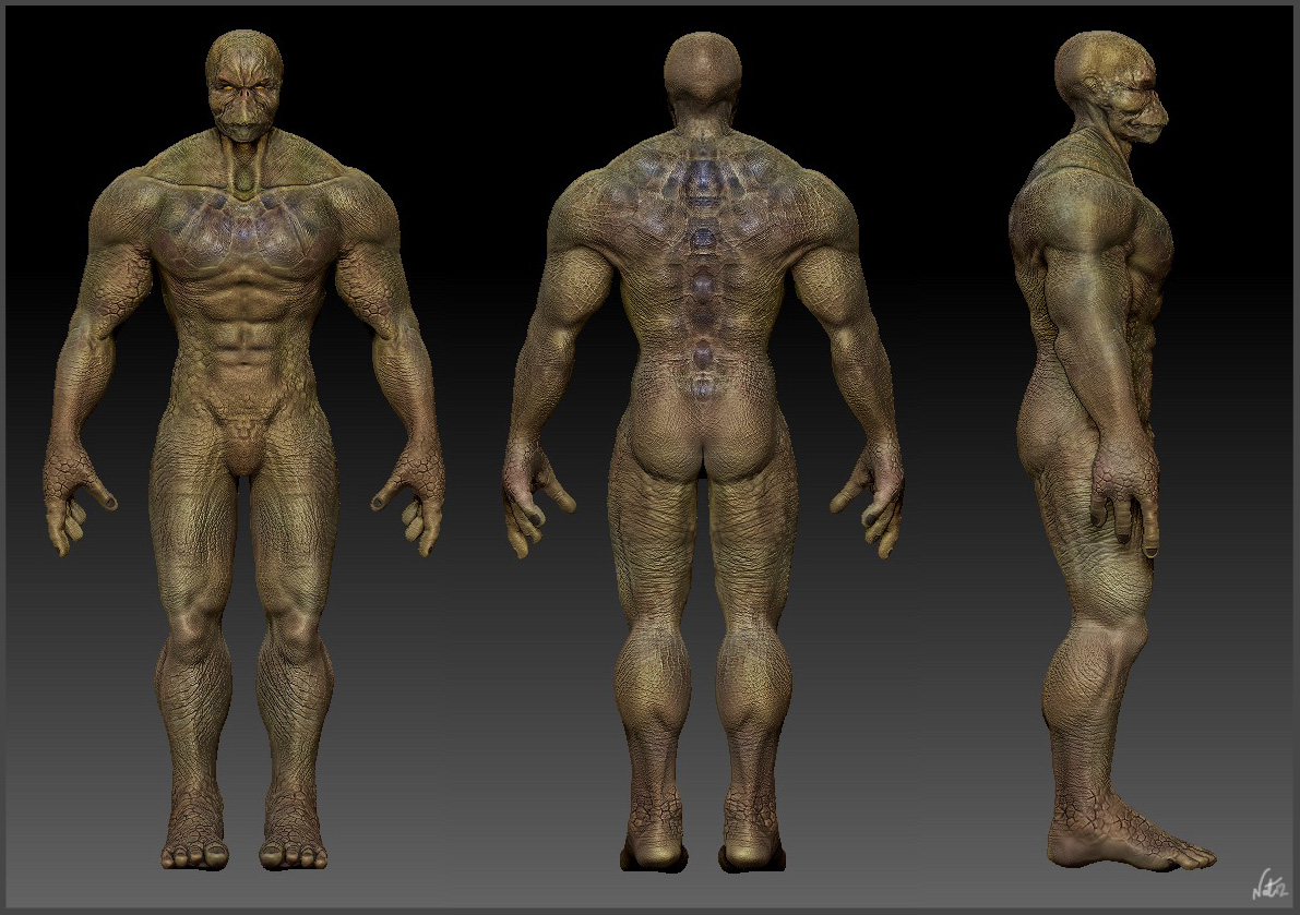 NH_TurtleMan_BodyWIP6.jpg