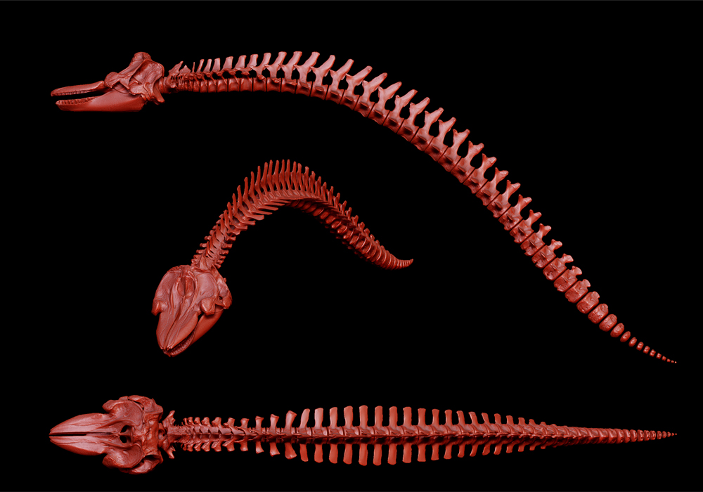 red clay spine render.jpg