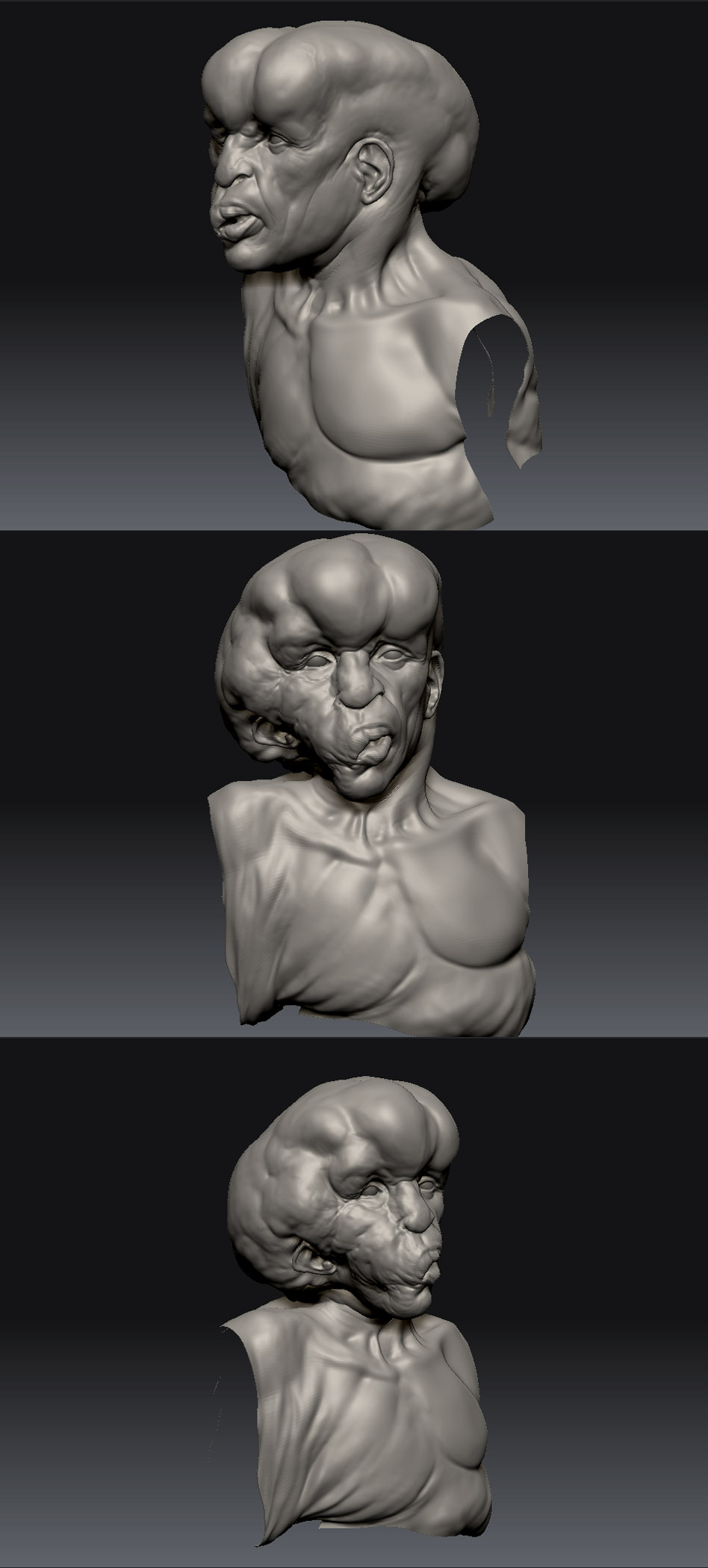 Merrick-progress.jpg