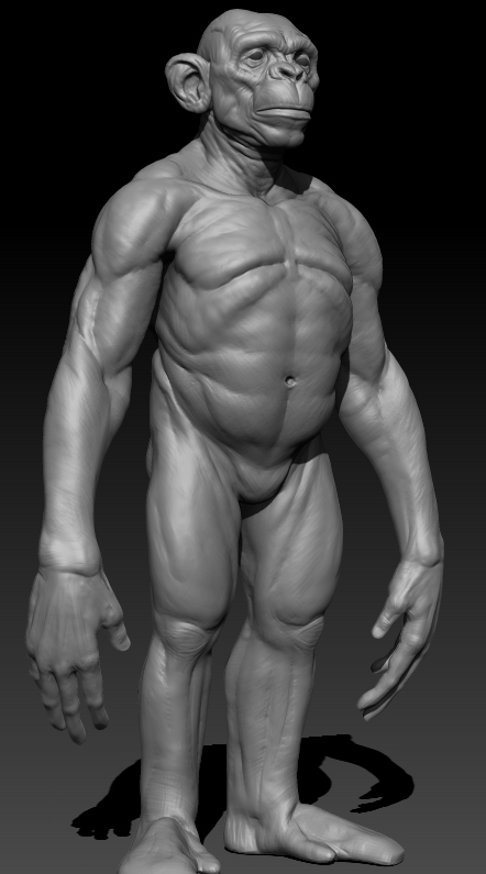 Chimpbody.jpg