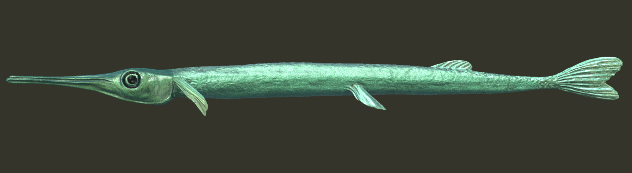 render 6 modify.jpg