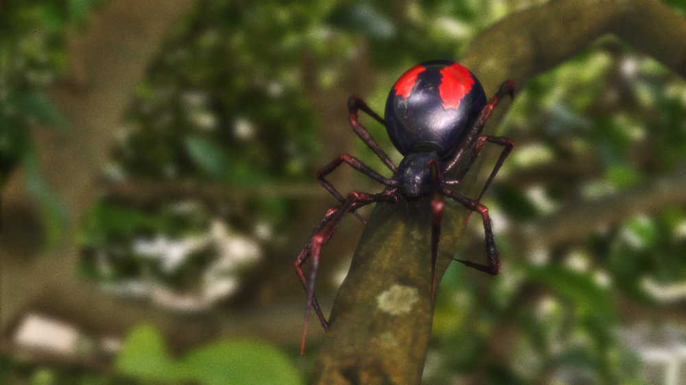 spider_composite_low.jpg