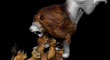 LION FIGHT 5.jpg