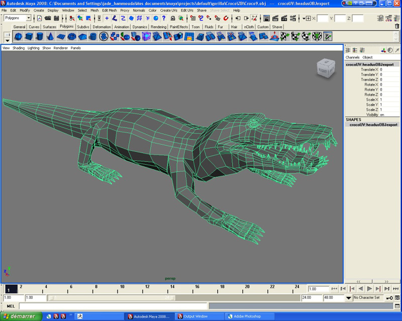 croco1.jpg
