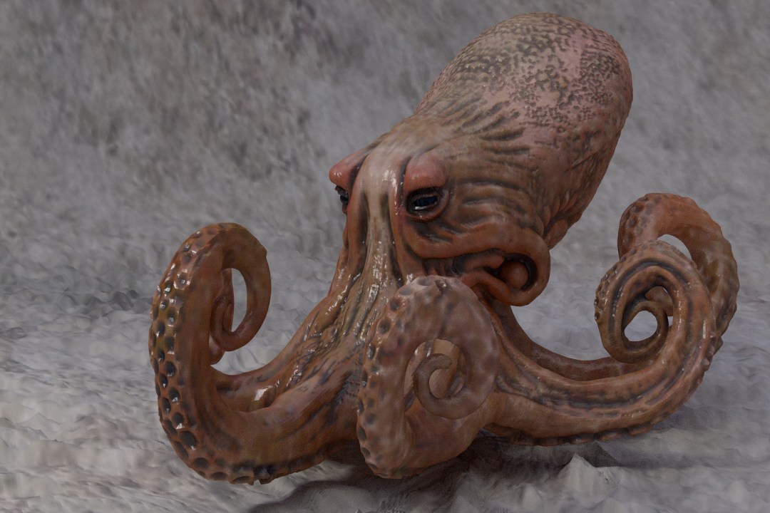 octopus_03_small.jpg