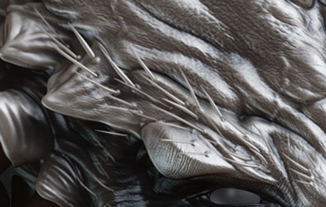 detail.jpg