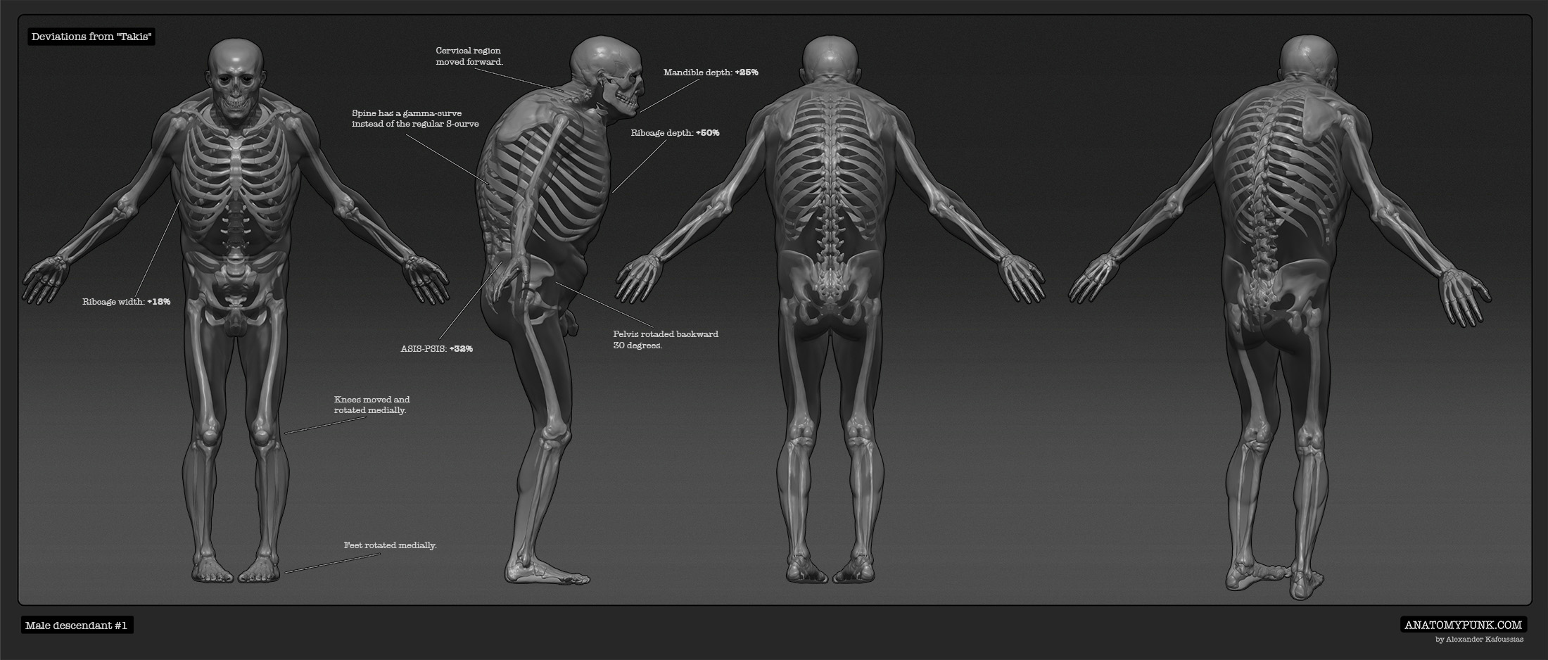 MaleDescendant1_xray_Anatomypunk.jpeg