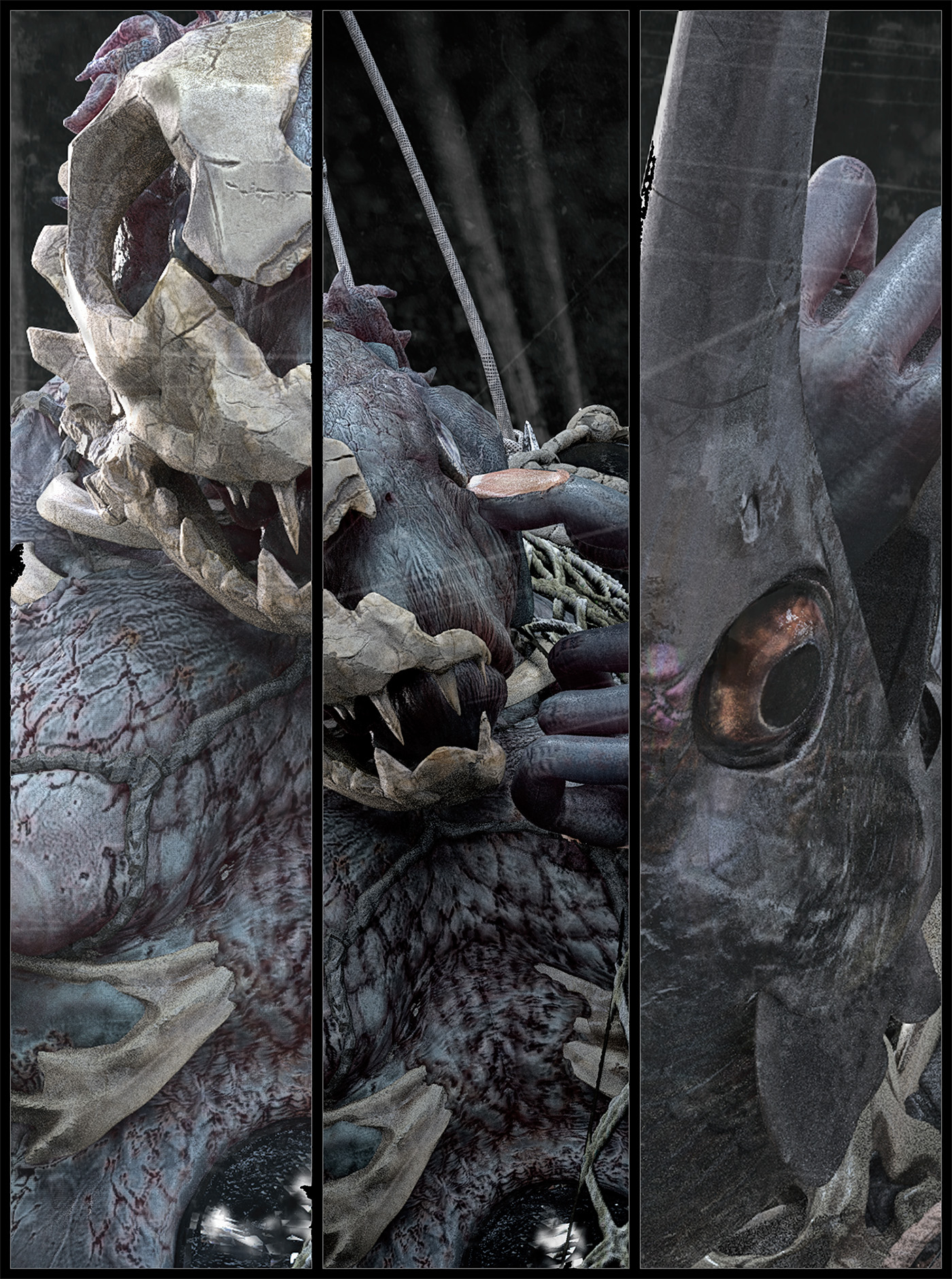 front_multi.jpg