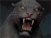 panth_thumb.jpg