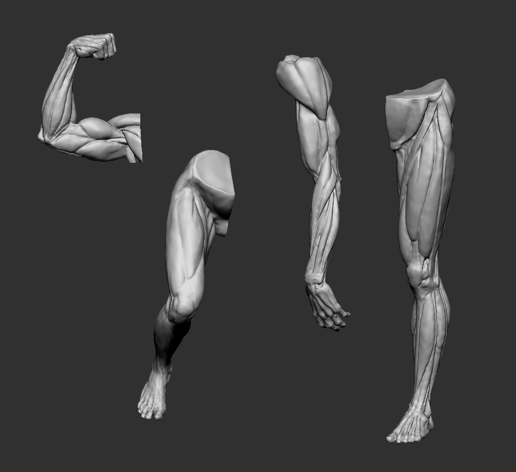 ZBrush_Screencap.jpg