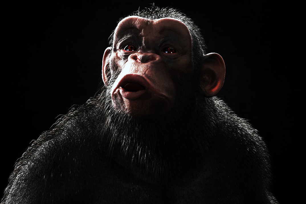 chimp3.jpg