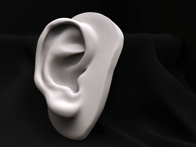 EarStudy.jpg