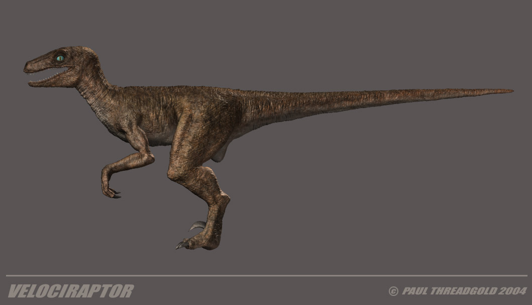 raptorsidetitledREVISED copy.jpg
