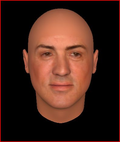 NEW STALLONE.JPG