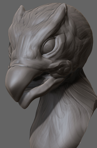 birdhead.jpg