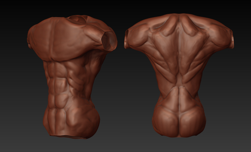 torso flickr.jpg