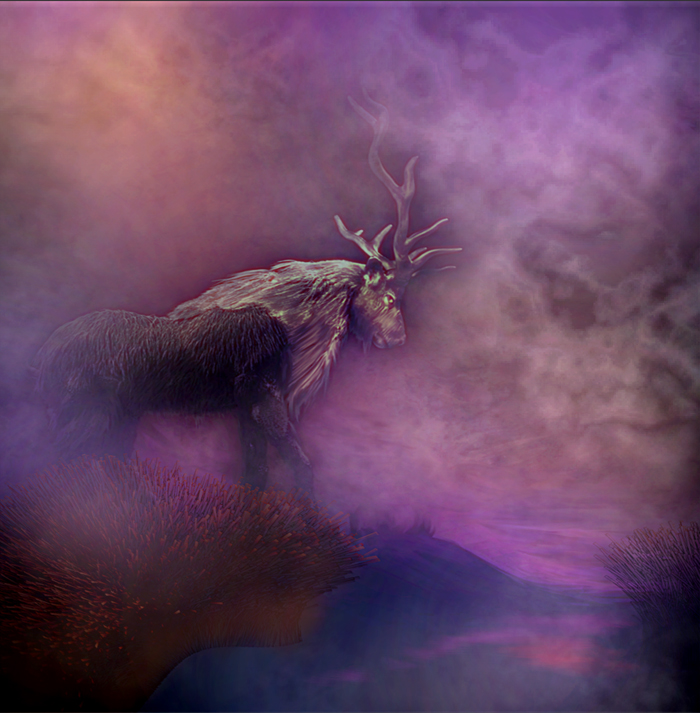 ELK 16 B.jpg