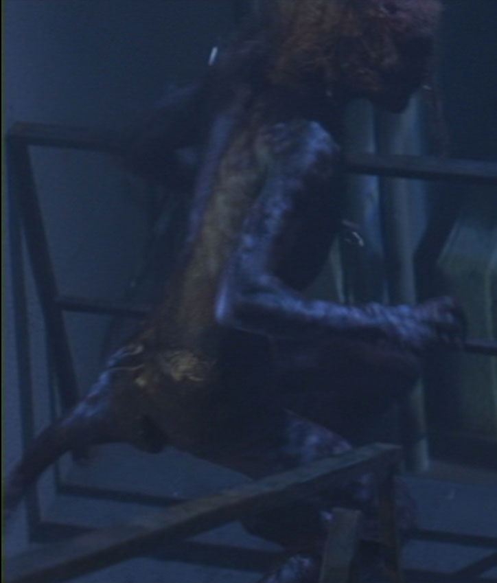 Body08Small.jpg