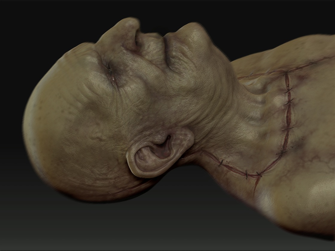 decomposing.jpg