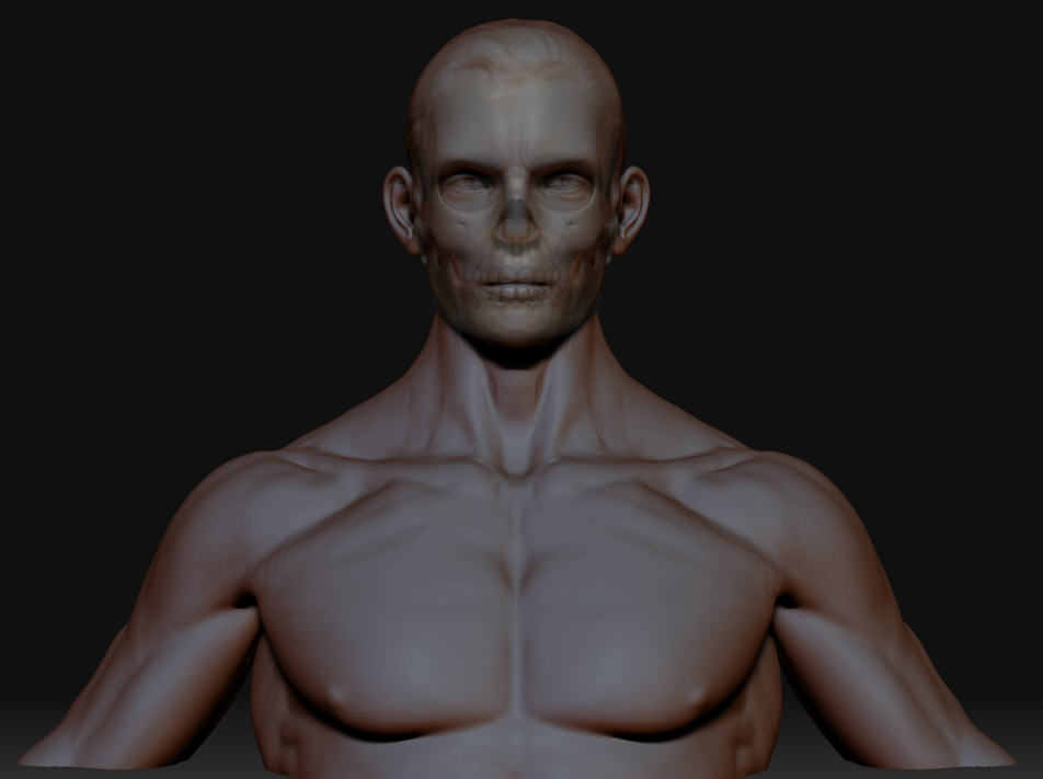male bodyastaged refined for zbc inner skull.jpg