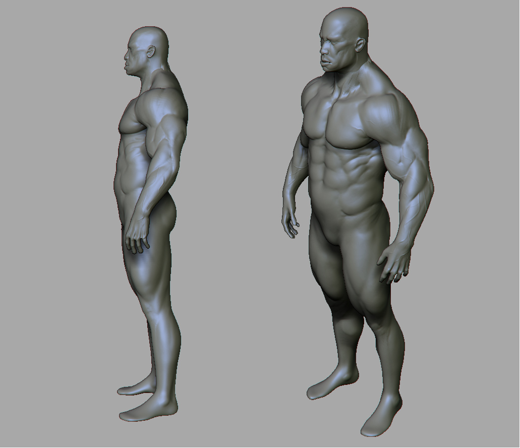 bodyprevisual.jpg