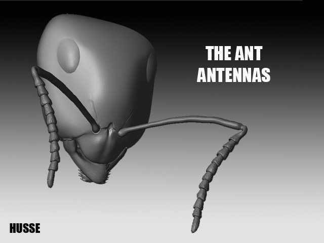 antennas.jpg