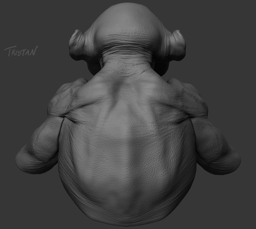 Monkey_WIP_04.jpg