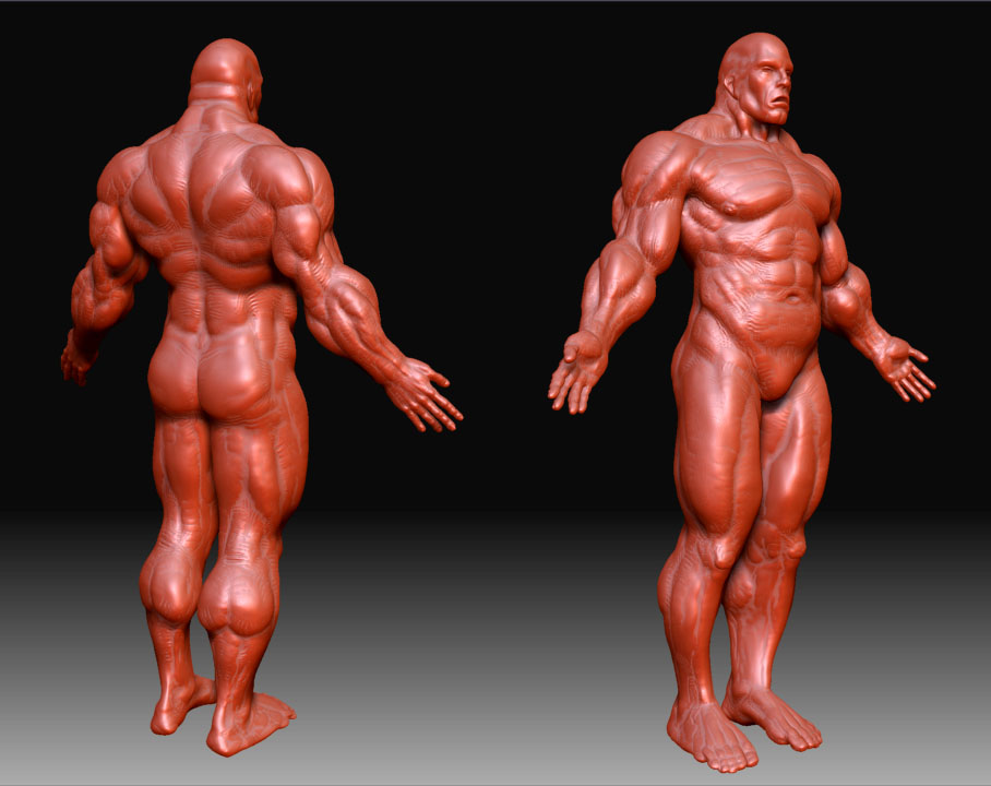 muscleguyweb.jpg