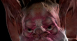 VAMPIRERENDER 2.jpg