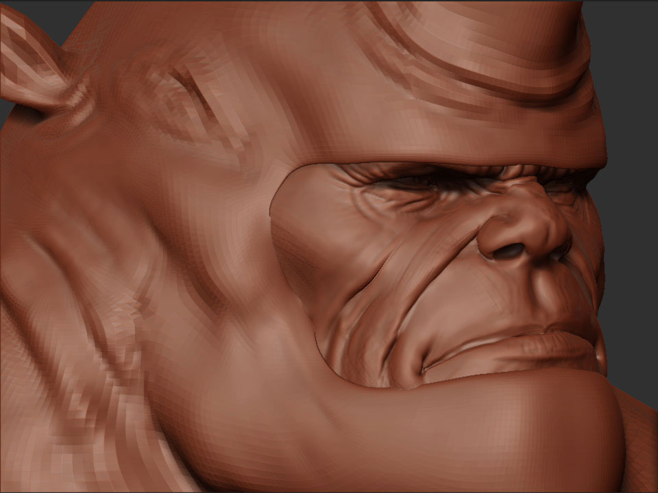 rhino17