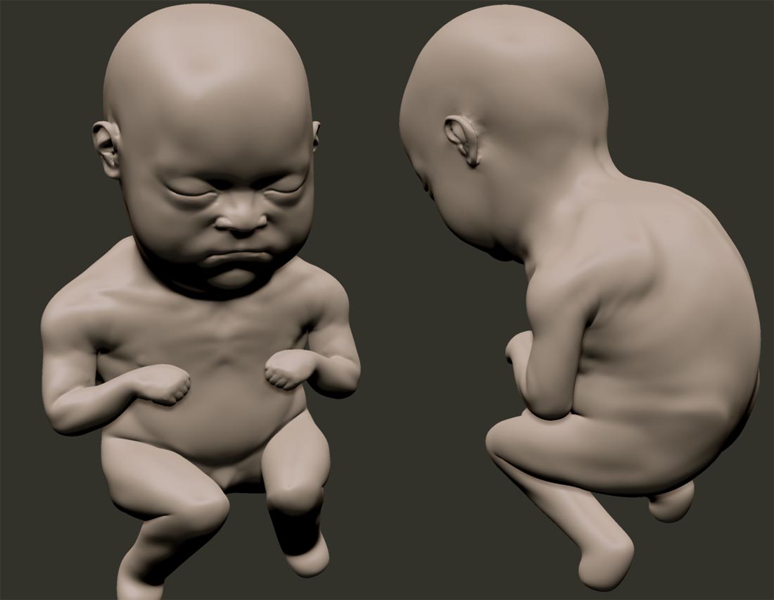 embryo.jpg