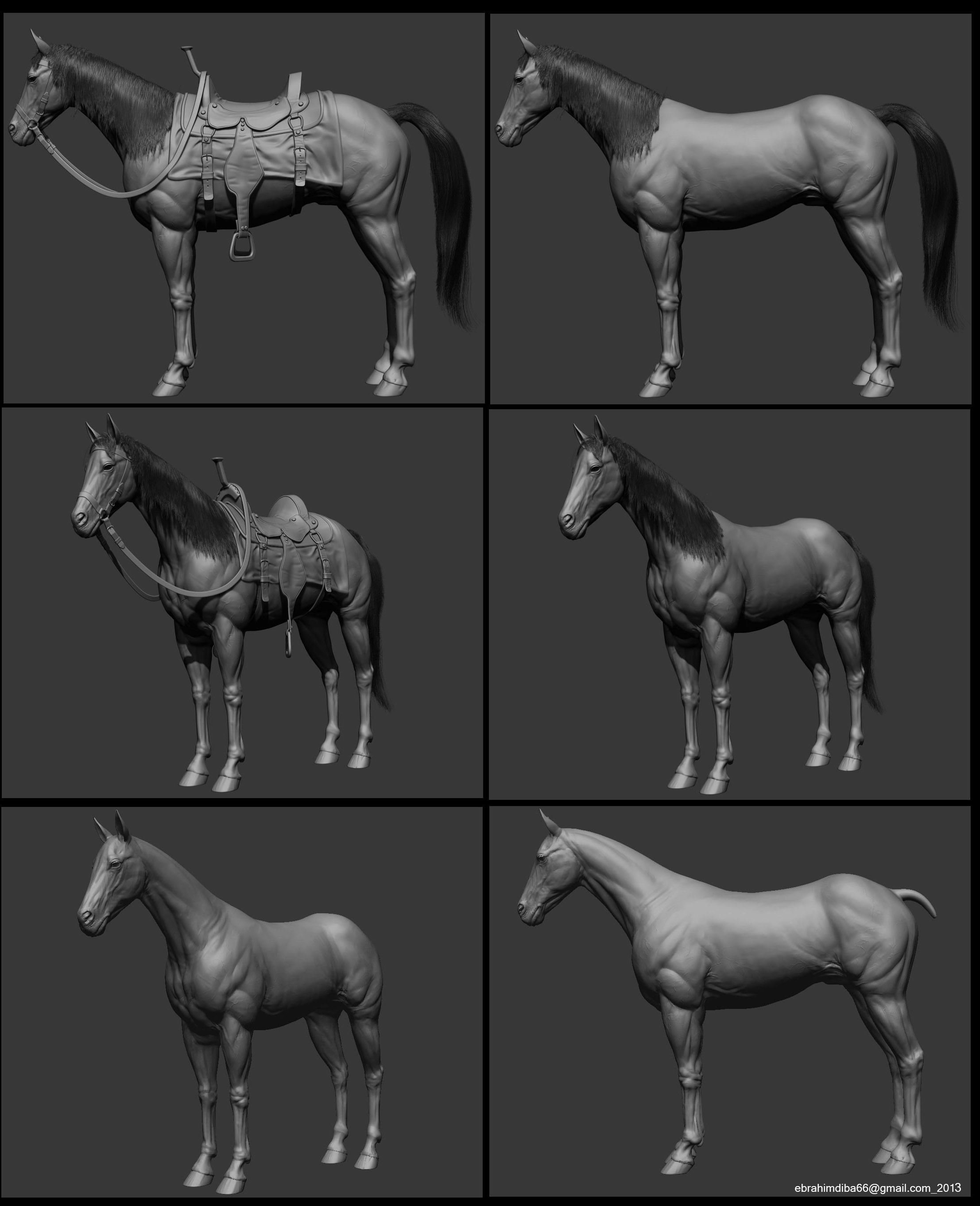 horse_1_(6).jpg