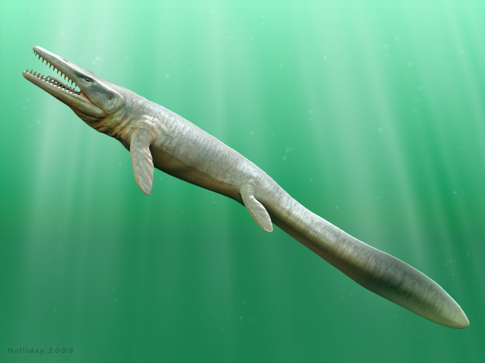 tylosaurus_new.jpg