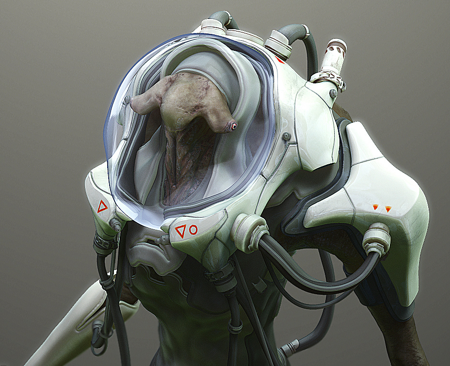 KP_Diver_Comp5_web2.jpg