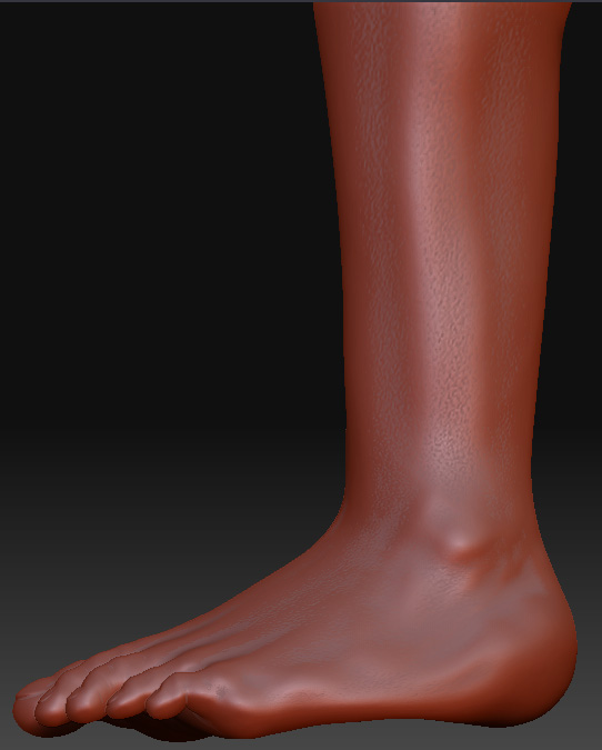 MaleBodySideNoPerspFootUpClose_03.jpg
