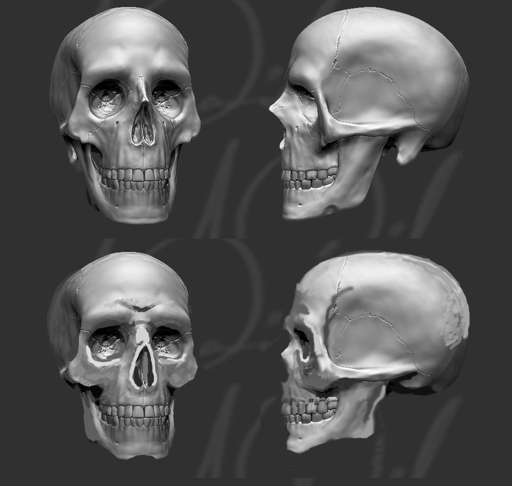 skull_4_free_overpaint.jpg