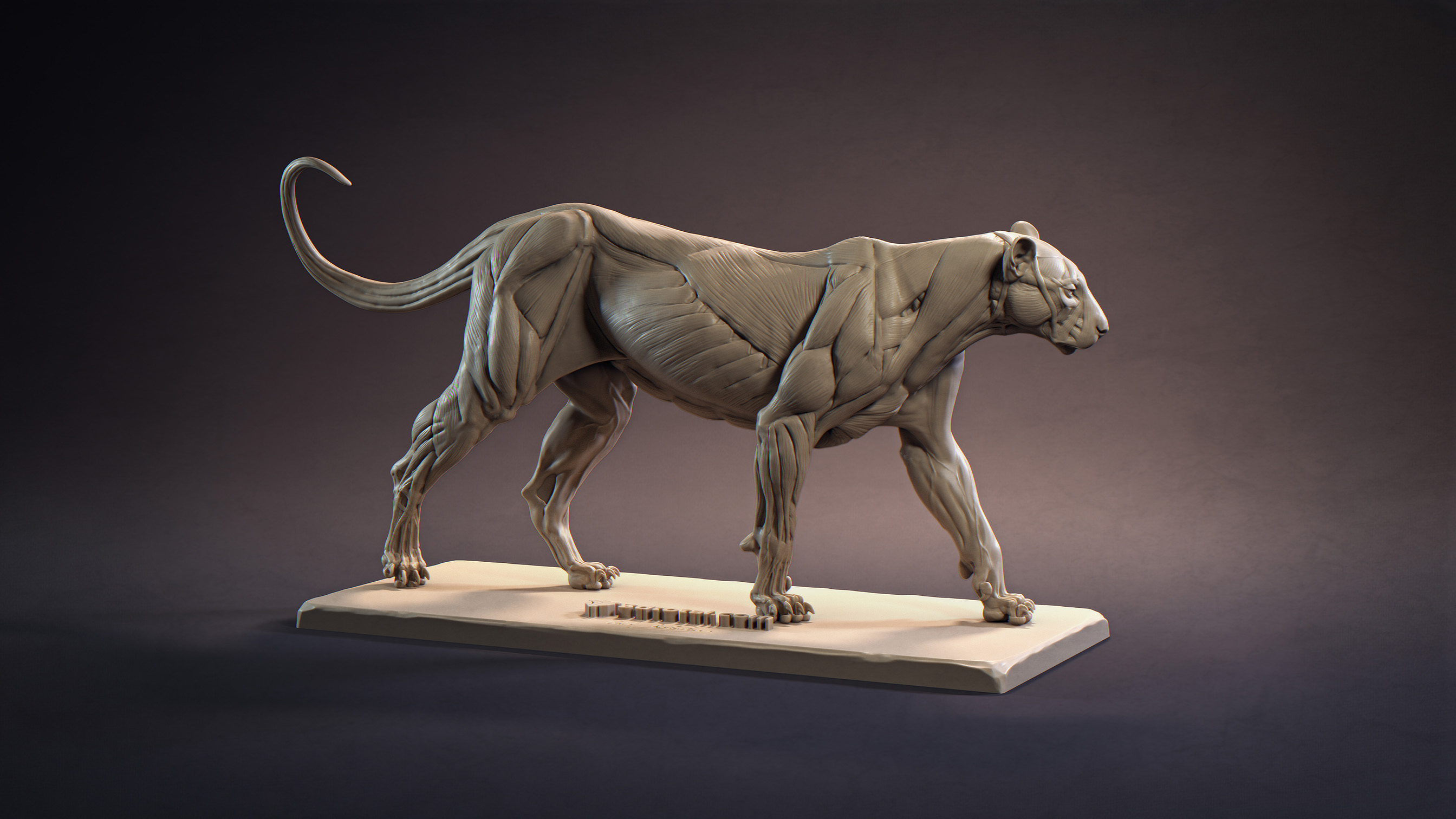 panthera_003_comp_MD.jpg