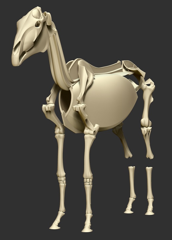 horse_skeleton10.jpg